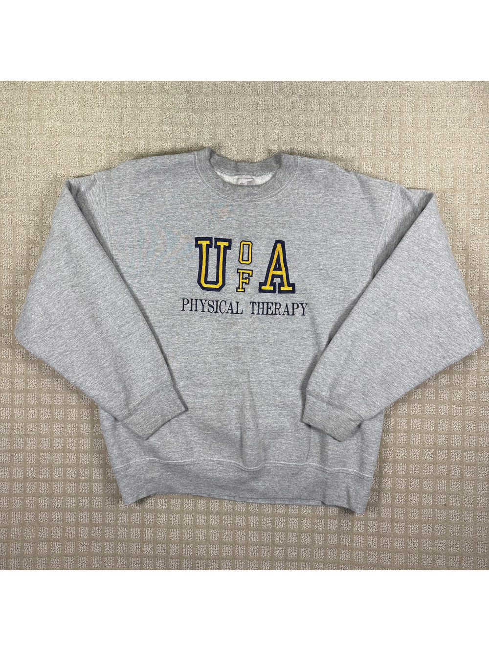 U of A Physical Therapy Sweatshirt Size L